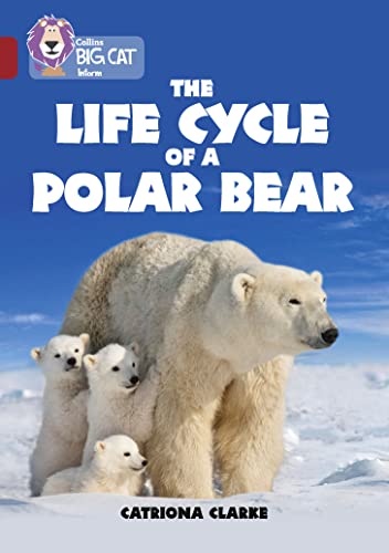 Stock image for The Life Cycle of a Polar Bear: Band 14/Ruby (Collins Big Cat) for sale by WorldofBooks