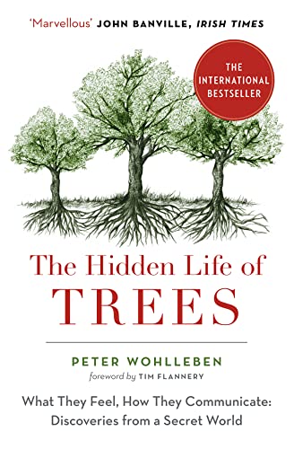 Imagen de archivo de The Hidden Life of Trees: The International Bestseller  " What They Feel, How They Communicate a la venta por WorldofBooks