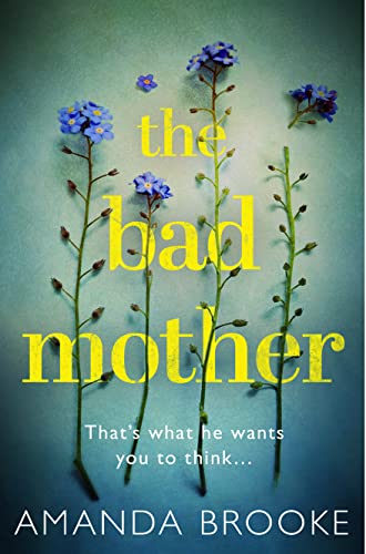 Beispielbild fr The Bad Mother: The addictive, gripping thriller that will make you question everything zum Verkauf von SecondSale