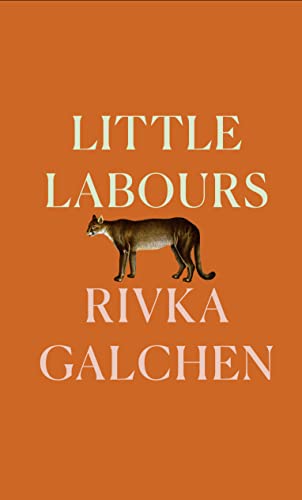 Stock image for Little Labours for sale by Better World Books