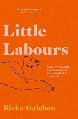 Stock image for Little Labours for sale by WorldofBooks