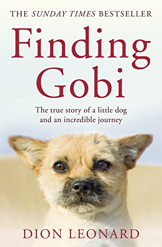 Beispielbild fr Finding Gobi (Main edition): The true story of a little dog and an incredible journey zum Verkauf von WorldofBooks