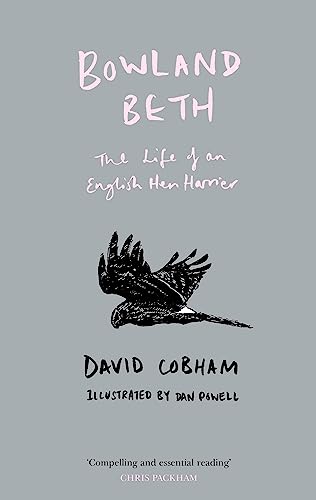 Beispielbild fr Bowland Beth: The Life of an English Hen Harrier zum Verkauf von WorldofBooks