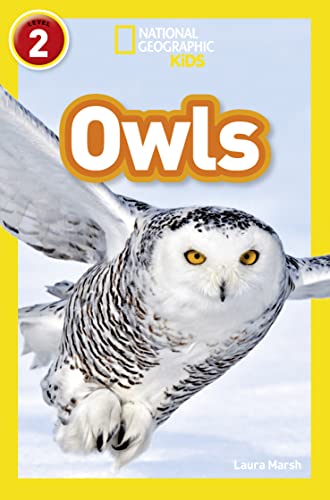 Beispielbild fr Owls zum Verkauf von Blackwell's