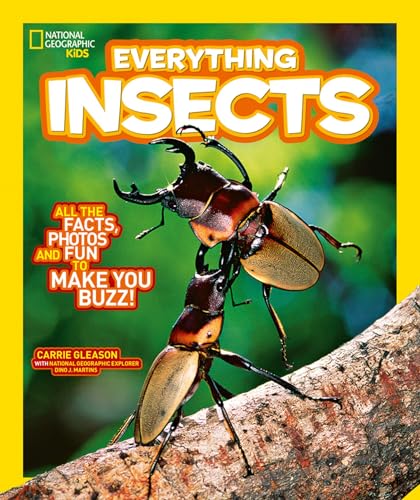 Stock image for Everything Insects for sale by Blackwell's