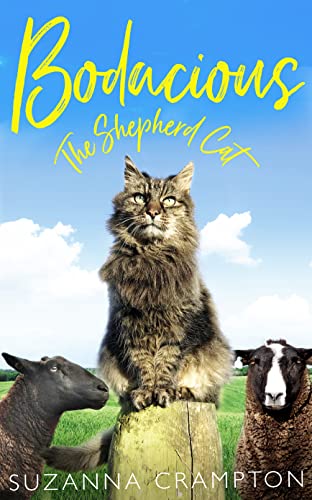 Beispielbild fr Bodacious: The Shepherd Cat zum Verkauf von WorldofBooks