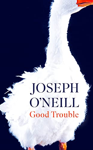 Imagen de archivo de Good Trouble a la venta por WorldofBooks