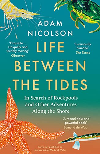 9780008294816: Life Between the Tides: In Search of Rockpools and Other Adventures Along the Shore