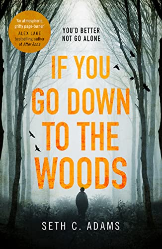 Imagen de archivo de If You Go Down to the Woods: A powerful and gripping debut thriller which will send you on an emotional rollercoaster! a la venta por PlumCircle