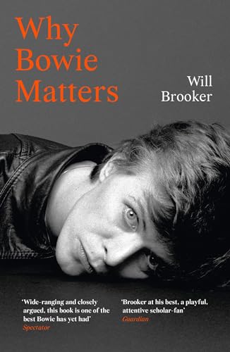 9780008313753: Why Bowie Matters