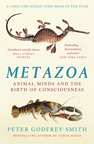 Beispielbild fr Metazoa: Animal Minds and the Birth of Consciousness zum Verkauf von WorldofBooks