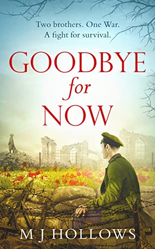 Stock image for Goodbye for Now: A breathtaking historical debut for sale by AwesomeBooks