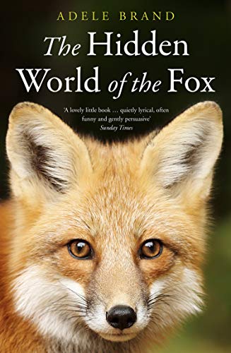 Beispielbild fr The Hidden World of the Fox zum Verkauf von Blackwell's