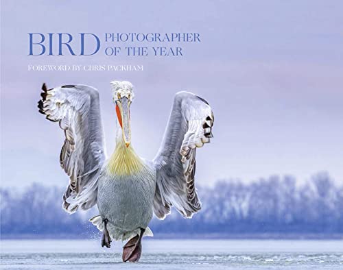 Beispielbild fr Bird Photographer of the Year. Collection 4 zum Verkauf von Blackwell's