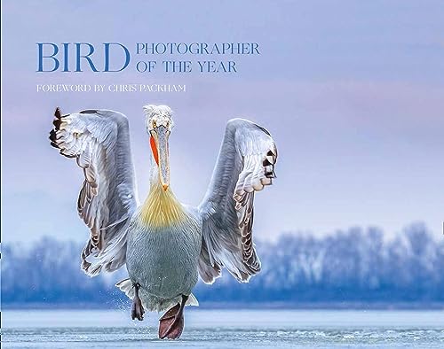 Stock image for Bird Photographer of the Year. Collection 4 for sale by Blackwell's