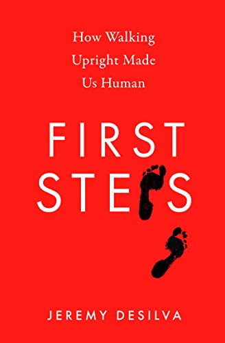 Beispielbild fr First Steps: How Walking Upright Made Us Human zum Verkauf von WorldofBooks