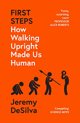Beispielbild fr First Steps: How Walking Upright Made Us Human zum Verkauf von WorldofBooks