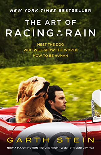 Beispielbild fr The Art of Racing in the Rain zum Verkauf von Infinity Books Japan