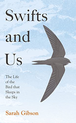 Imagen de archivo de Swifts and Us: The Life of the Bird that Sleeps in the Sky a la venta por WorldofBooks