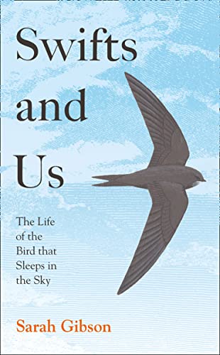 Stock image for Swifts and Us: The Life of the Bird that Sleeps in the Sky for sale by WorldofBooks