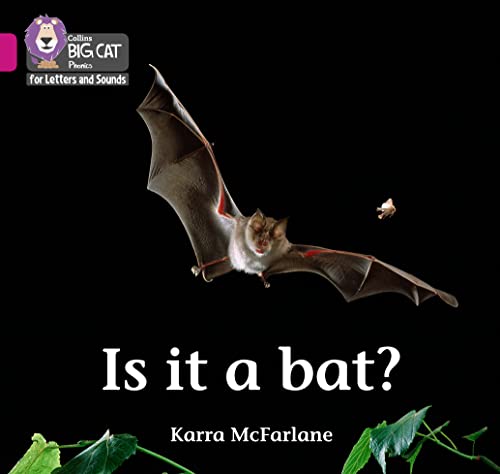 Stock image for Is it a Bat?: Band 01B/Pink B (Collins Big Cat Phonics for Letters and Sounds) for sale by WorldofBooks