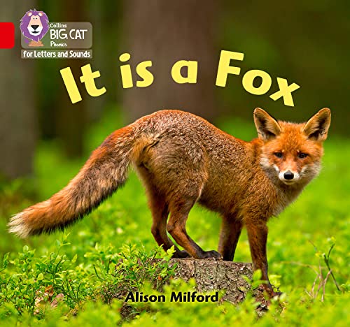Stock image for It Is a Fox for sale by Blackwell's