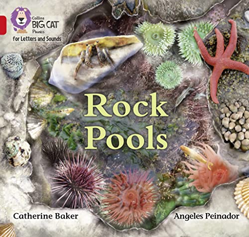 Stock image for Rock Pools for sale by Blackwell's