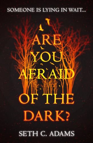 Stock image for Are You Afraid of the Dark?: A tense, gripping new crime thriller which will keep you on the edge of your seat! for sale by Once Upon A Time Books