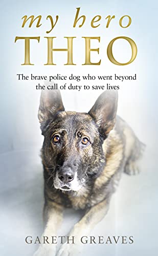Stock image for My Hero Theo for sale by Blackwell's