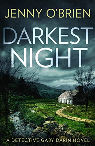 Imagen de archivo de Darkest Night a la venta por Blackwell's