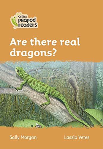 Stock image for Are There Real Dragons? for sale by Blackwell's