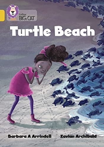Stock image for Turtle Beach for sale by Blackwell's