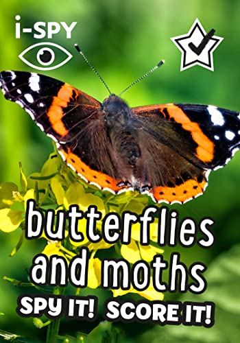 Stock image for Butterflies and Moths for sale by Blackwell's