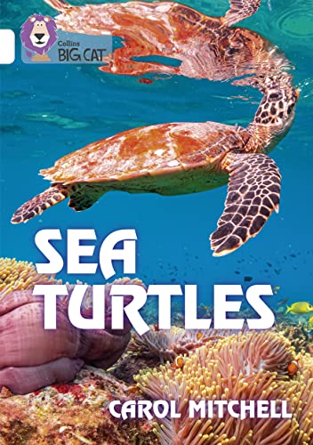 Beispielbild fr Sea Turtles zum Verkauf von Blackwell's