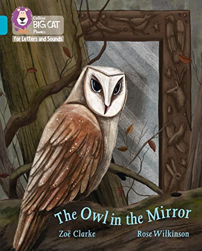 Beispielbild fr The Owl in the Mirror zum Verkauf von Blackwell's