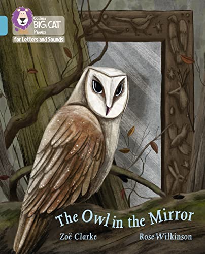 Imagen de archivo de The Owl in the Mirror a la venta por Blackwell's