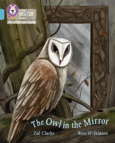 Stock image for The Owl in the Mirror for sale by Blackwell's