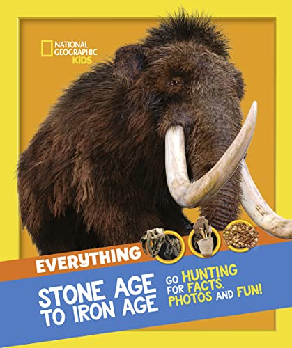 Stock image for Everything Stone Age to Iron Age for sale by Blackwell's