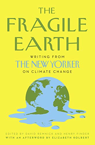 Beispielbild fr The Fragile Earth zum Verkauf von Blackwell's