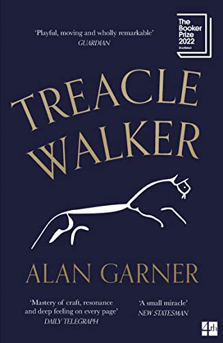 Beispielbild fr Treacle Walker: Shortlisted for the 2022 Booker Prize and a Guardian Best Fiction Book of 2021 zum Verkauf von WorldofBooks