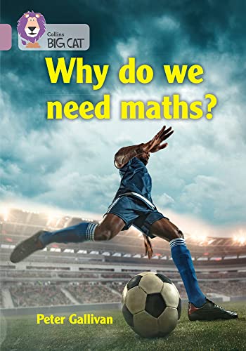 Beispielbild fr Why Do We Need Maths? zum Verkauf von Blackwell's