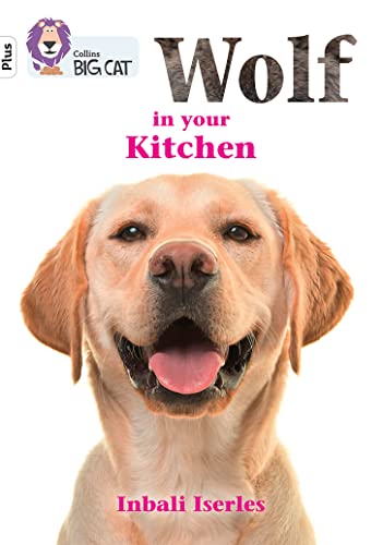 Beispielbild fr Wolf in your kitchen: Band 10+/White Plus (Collins Big Cat) zum Verkauf von AwesomeBooks