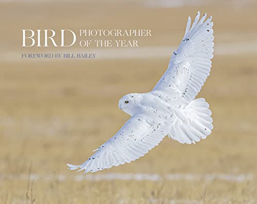 Stock image for Bird Photographer of the Year. Collection 6 for sale by Blackwell's