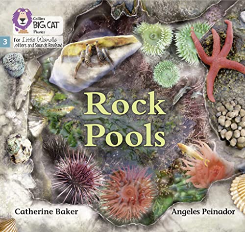 9780008504151: Rock Pools: Phase 3 Set 1 (Big Cat Phonics for Little Wandle Letters and Sounds Revised)