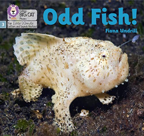 Stock image for Odd Fish! for sale by Blackwell's