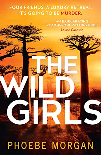 Imagen de archivo de The Wild Girls a la venta por GF Books, Inc.