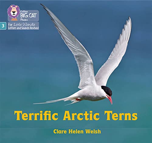 9780008540746: Terrific Arctic Terns: Phase 3 Set 2 (Big Cat Phonics for Little Wandle Letters and Sounds Revised)