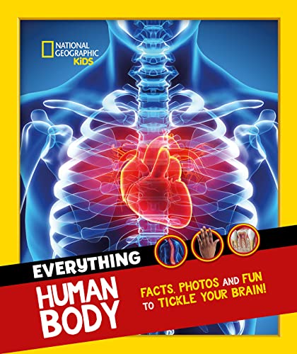Stock image for Everything Human Body for sale by Blackwell's