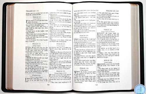 9780012563533: Holy Bible: King James Version, Giant Print Wide Margin Text Bible