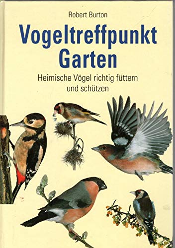 Imagen de archivo de Vogeltreffpunkt Garten. Heimische vgel richtig fttern und schtzen. a la venta por Versandhandel K. Gromer